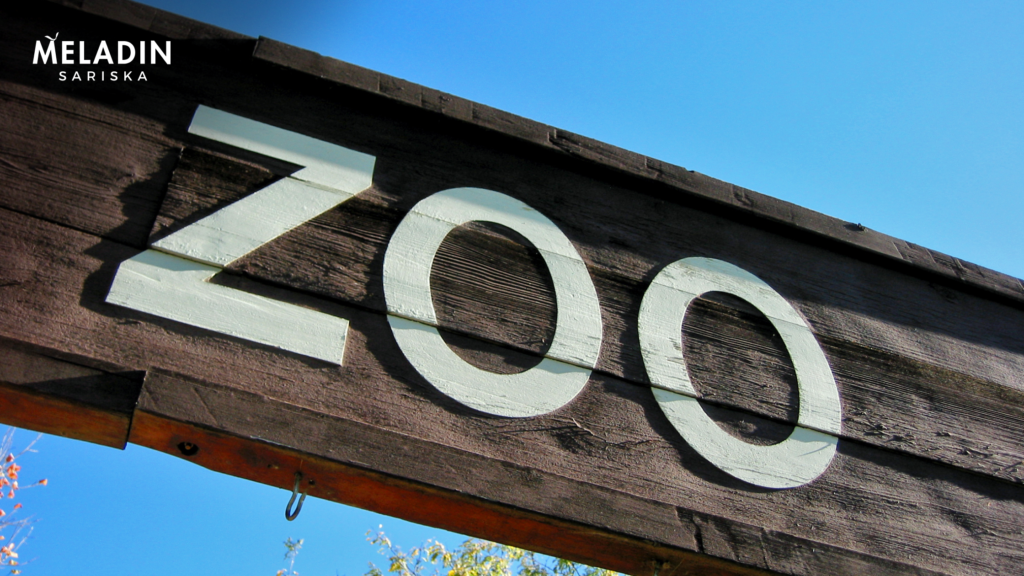 All About Jaipur Zoo & Its Timing Meladin Sariska